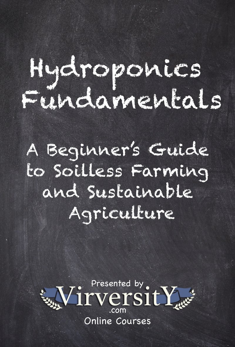 Hydroponics Fundamentals